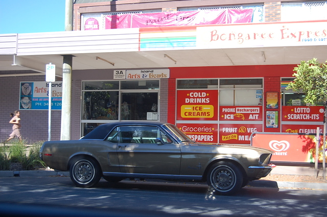 Dsc 1341