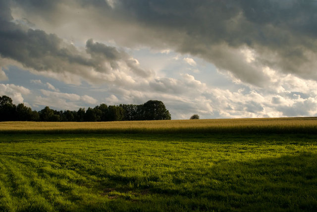 Bożkowicki  pejzaż 