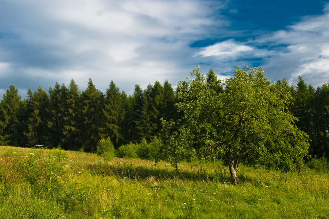 Bożkowicki  pejzaż 