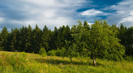 Bożkowicki  pejzaż – Polska