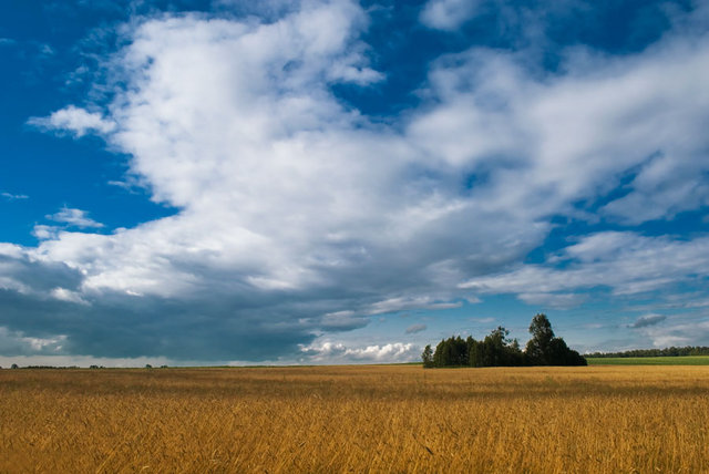 Bożkowicki  pejzaż 