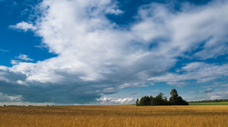 Bożkowicki  pejzaż – Polska