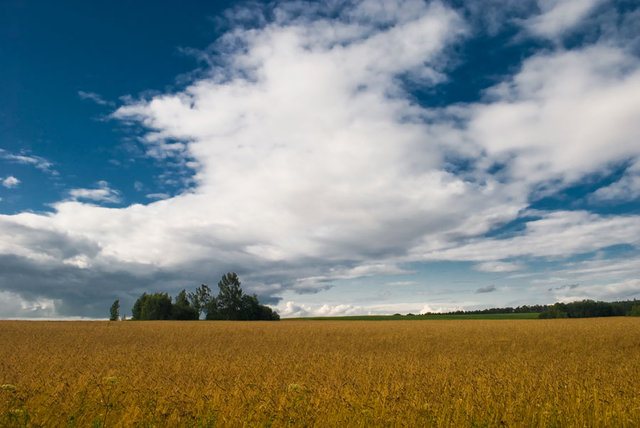 Bożkowicki  pejzaż 