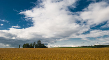 Bożkowicki  pejzaż – Polska