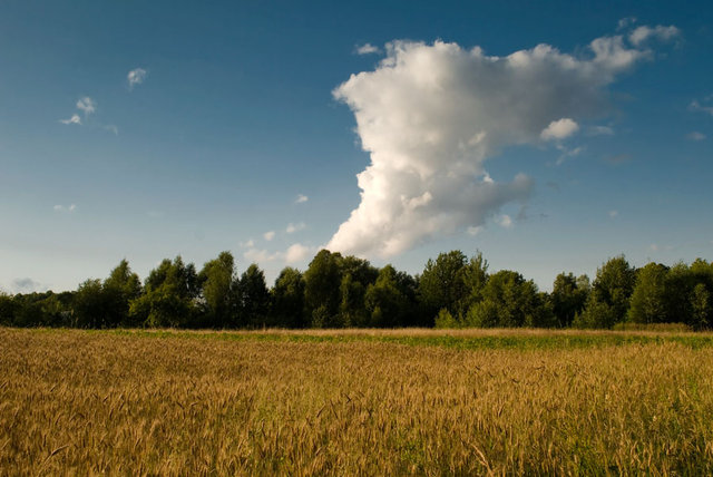 Bożkowicki  pejzaż 