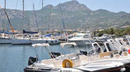 Dsc 4695 Port w Calvi – Francja