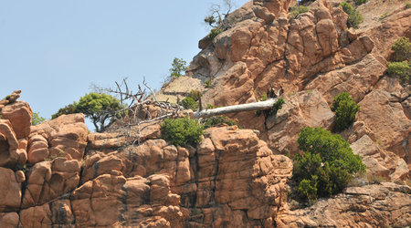 Dsc 5133 Calanches – Piana, Francja