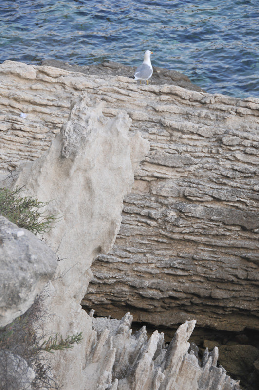 Dsc 6073 Klify Bonifacio