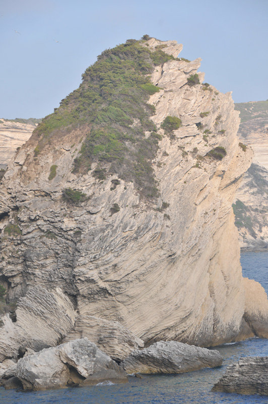 Dsc 6080 Klify Bonifacio