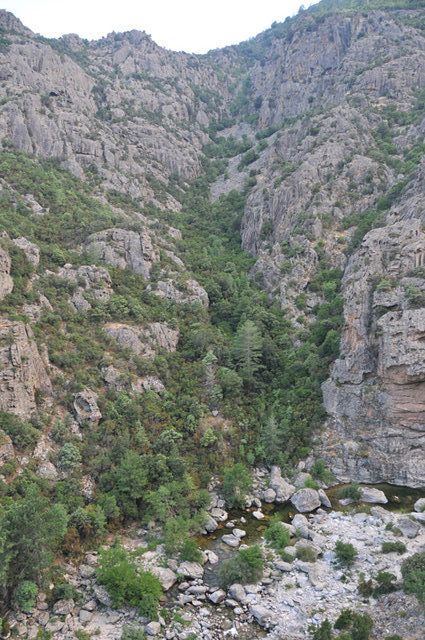 Dsc 6706 Wąwóz Scala di Sta Regina