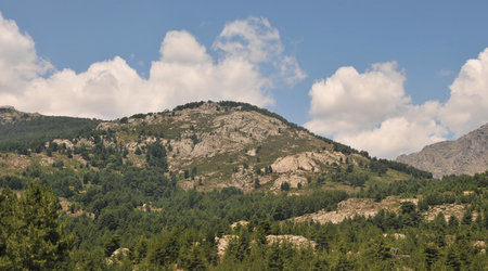 Dsc 6486 Szlak do jez. Niolo – Calacuccia, Francja