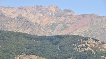 Dsc 6492 Szlak do jez. Niolo – Calacuccia, Francja