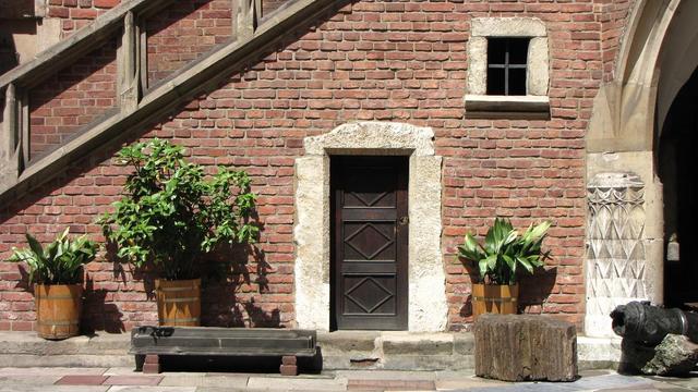Collegium Maius, detal