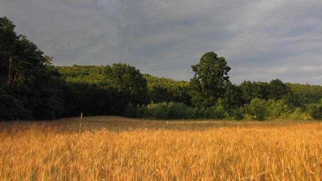 Moje Góry Świętokrzyskie, Pasmo Zelejowej