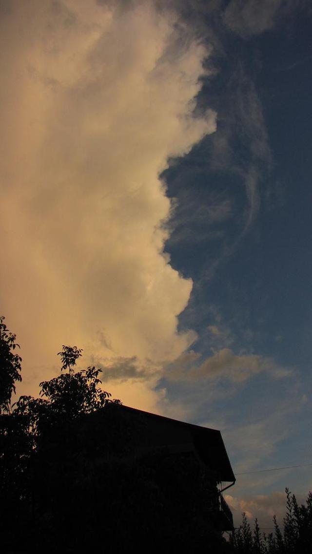 Do góry, widok z mojego podwórka