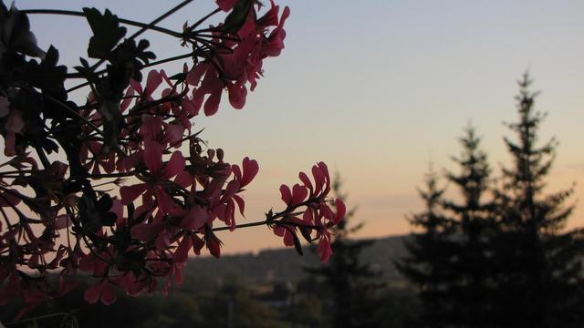 Widok z mojego balkonu na Górę Zamkową