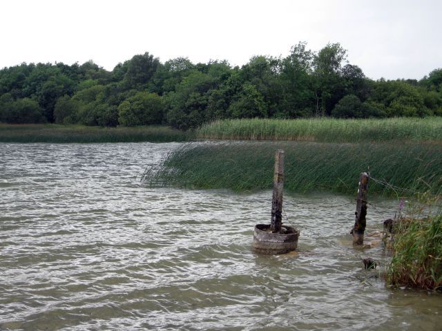 Lough Ennell - Mullingar