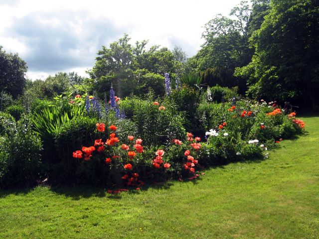 Mullingar - Belvedere