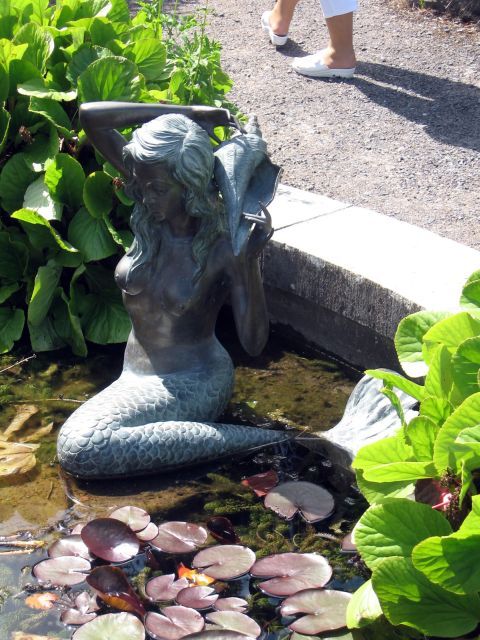 Mullingar - Belvedere