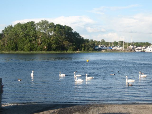 Athlone - Lough Ree