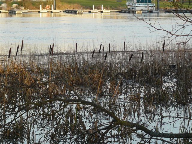 Athlone - River Shannon