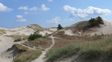 P1000169 1 – Czołpino, Polska