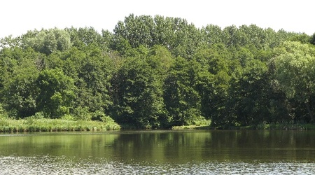 staw – Radziejowice, Polska