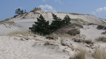 Czolpino2 – Czołpino, Polska