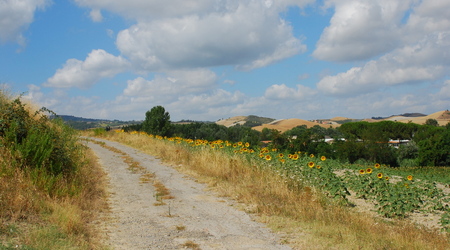 Toskania – Włochy