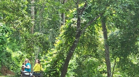Ksiega Dzungli – Chiang Mai, Tajlandia