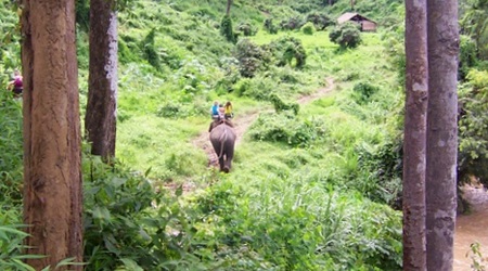 Ksiega Dzungli – Chiang Mai, Tajlandia