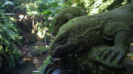 okolice ubud – Bali, Indonezja