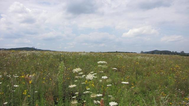 Antyklinorium chęcińskie;)