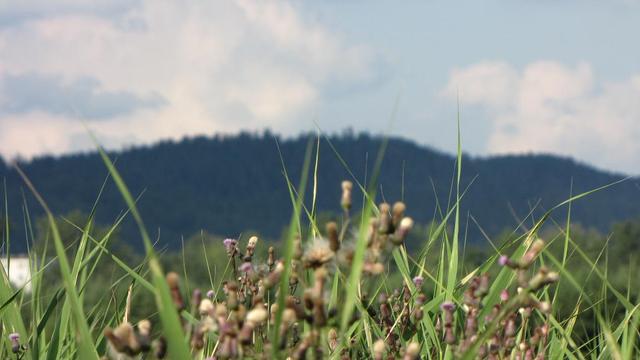 Góry