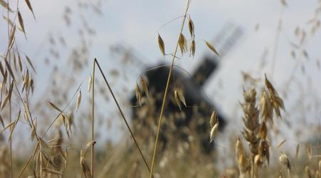 Skansen Wsi Kieleckiej w Tokarni - wiatrak – Tokarnia, Polska