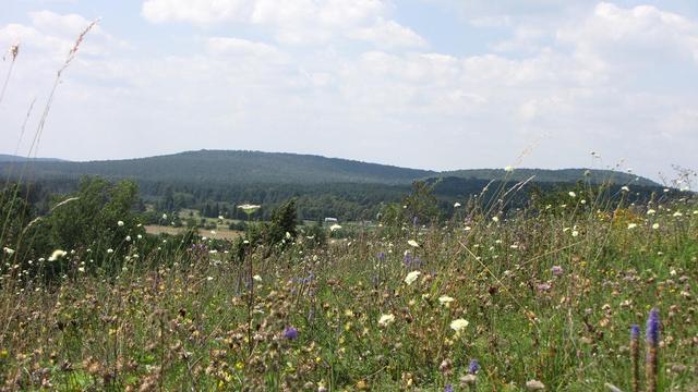 Góry