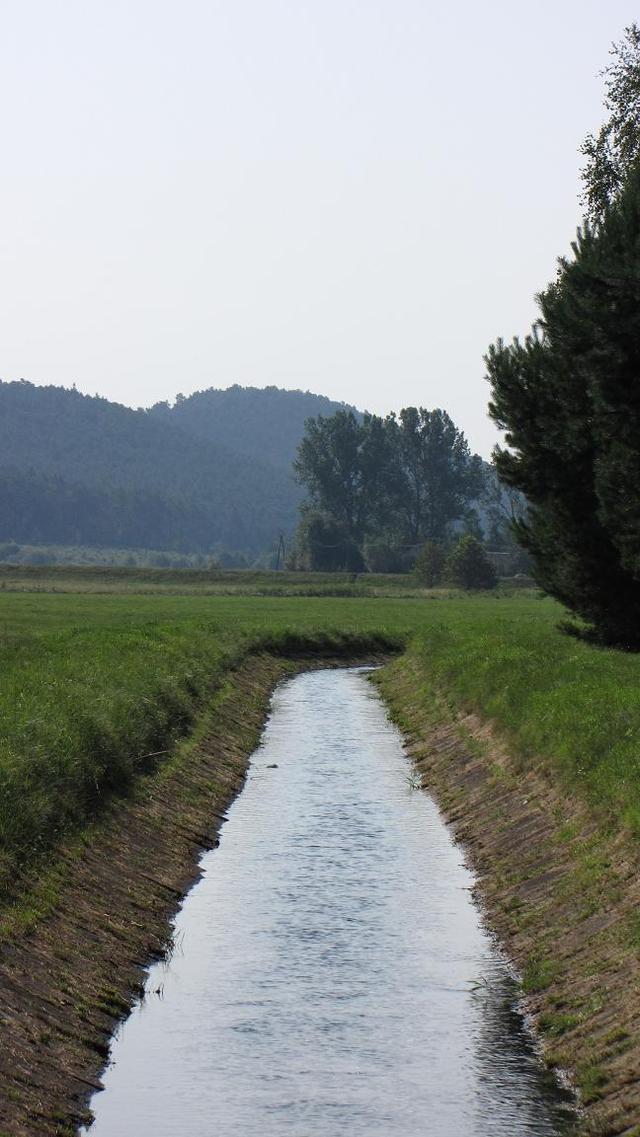 Rów irygacyjny