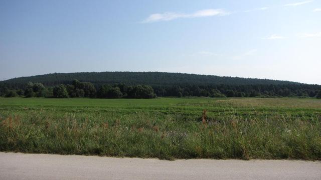 Grząby Bolmińskie