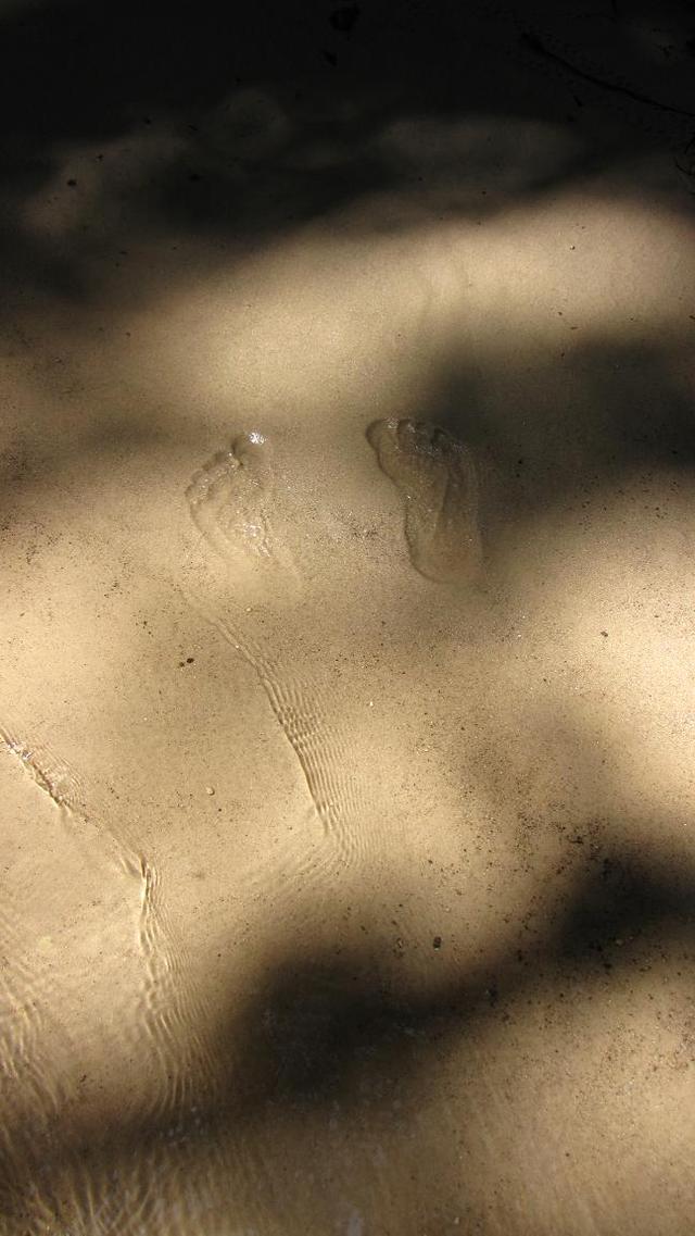 Już nie ma dzikich plaż