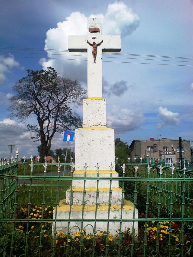 Pluskowęsy