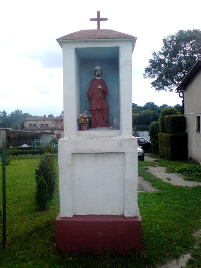 Pluskowęsy