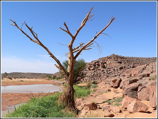 Libia