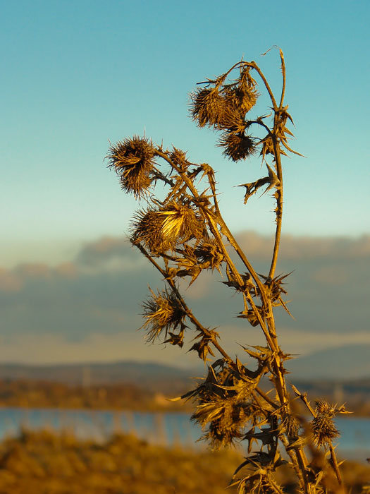 W świetle zachodzącego słońca 