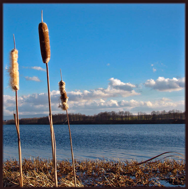 W świetle zachodzącego słońca 