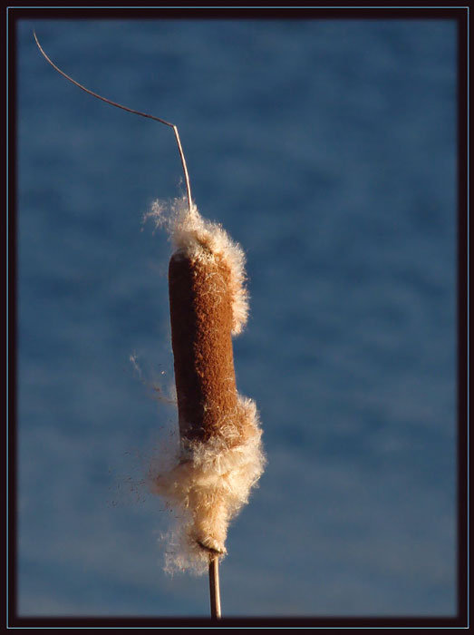 W świetle zachodzącego słońca 