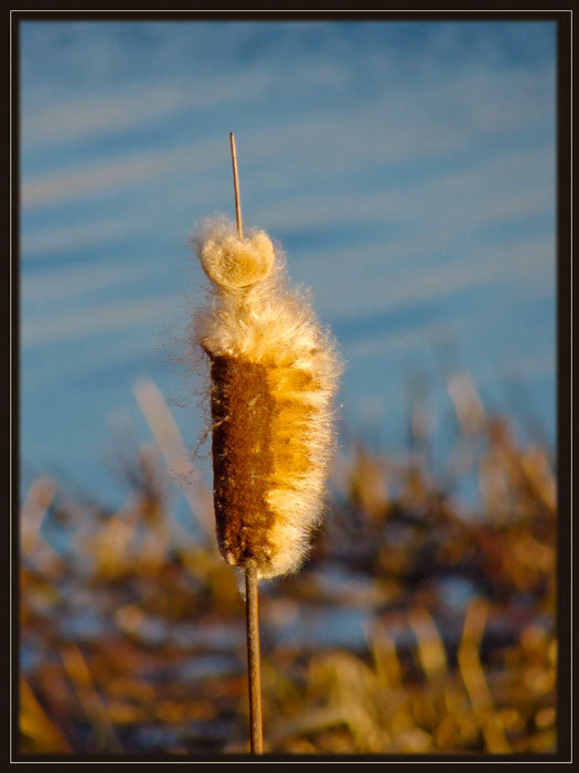 W świetle zachodzącego słońca 