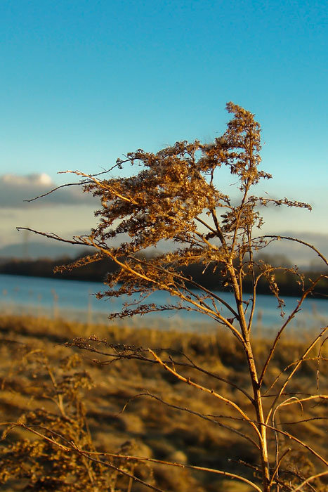 W świetle zachodzącego słońca 