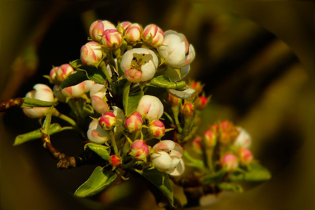 W świetle zachodzącego słońca 
