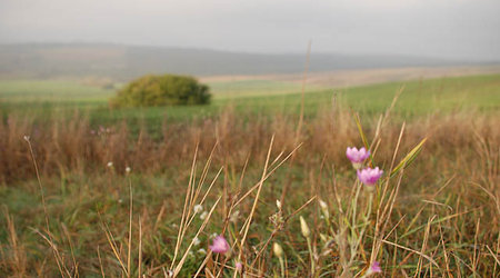 mołdawski krajobraz – Rezina, Mołdawia