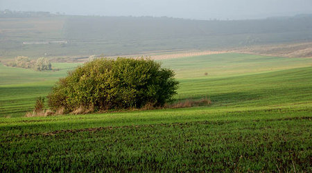 mołdawski krajobraz – Rezina, Mołdawia